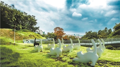 走在云道，看花看展看AR
